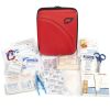 LifeLine AAA Commuter Kit - AAA Kit / Auto Kit for Vehicles